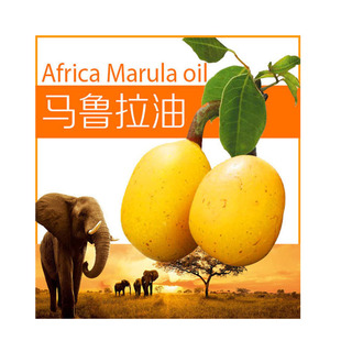 马鲁拉油 初榨伯尔硬胡桃籽油富含维C补水抗氧修护屏障 diy资本家