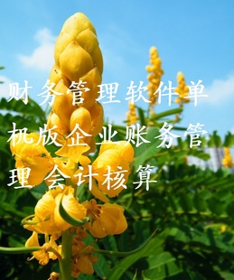 财务管理软件标准单机版 企业账务管理 会计核算+安装说明