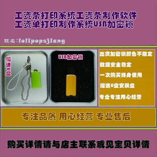 工资条打印系统工资条制作软件工资单打印制作系统USB加密锁