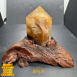 黄兔毛发晶摆件 天然水晶柱原石打磨 兔毛发 单尖柱 晶体透