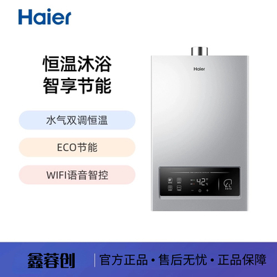 Haier/海尔 JSQ22-12MY3L(12T)U1 银 燃气热水器