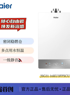 Haier/海尔 JSG31-16KU3FPXCU1 平衡机 水伺服恒温 超薄机身