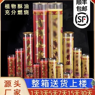 植物酥油斗烛7天15天30天家用对烛酥油蜡烛无烟圆柱长明灯24小时