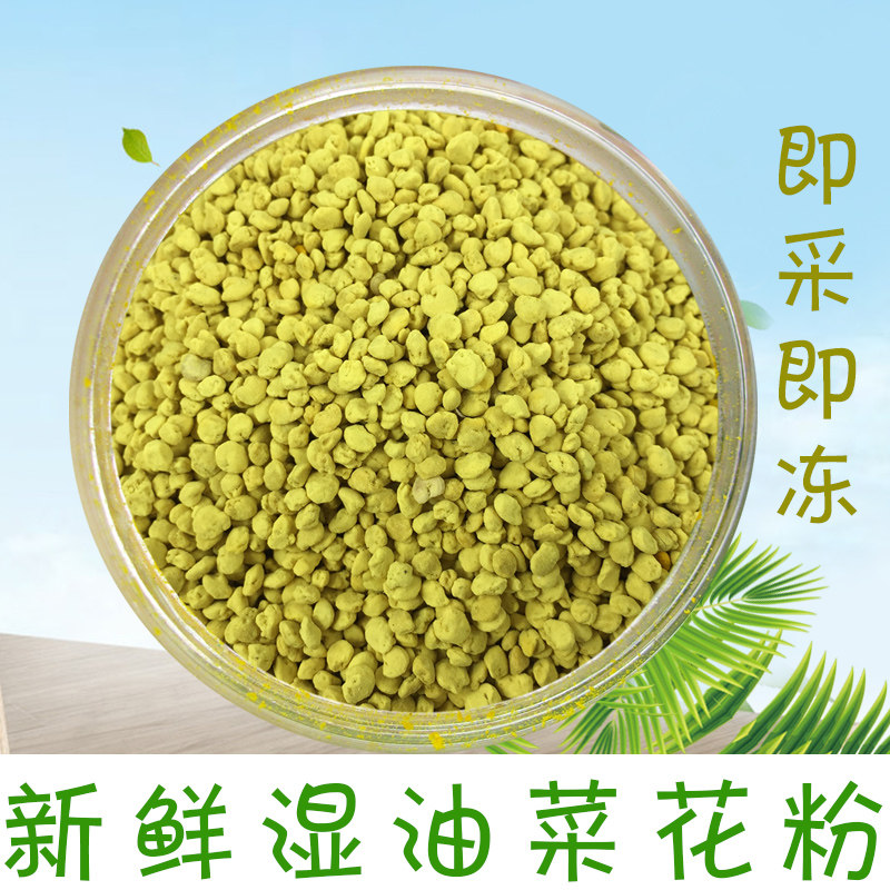 新鲜即采即冻湿油菜花粉油菜粉蜂花粉孝敬爸爸的礼物老公的加油站