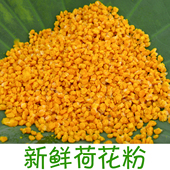 小宝山珍新鲜荷花粉干花粉蜂花粉天然花粉农家自产即采即晒干花粉