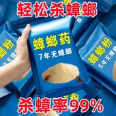 强效蟑螂药家用无毒一窝端大小通杀强力厨房正品 特效灭杀蟑螂神器