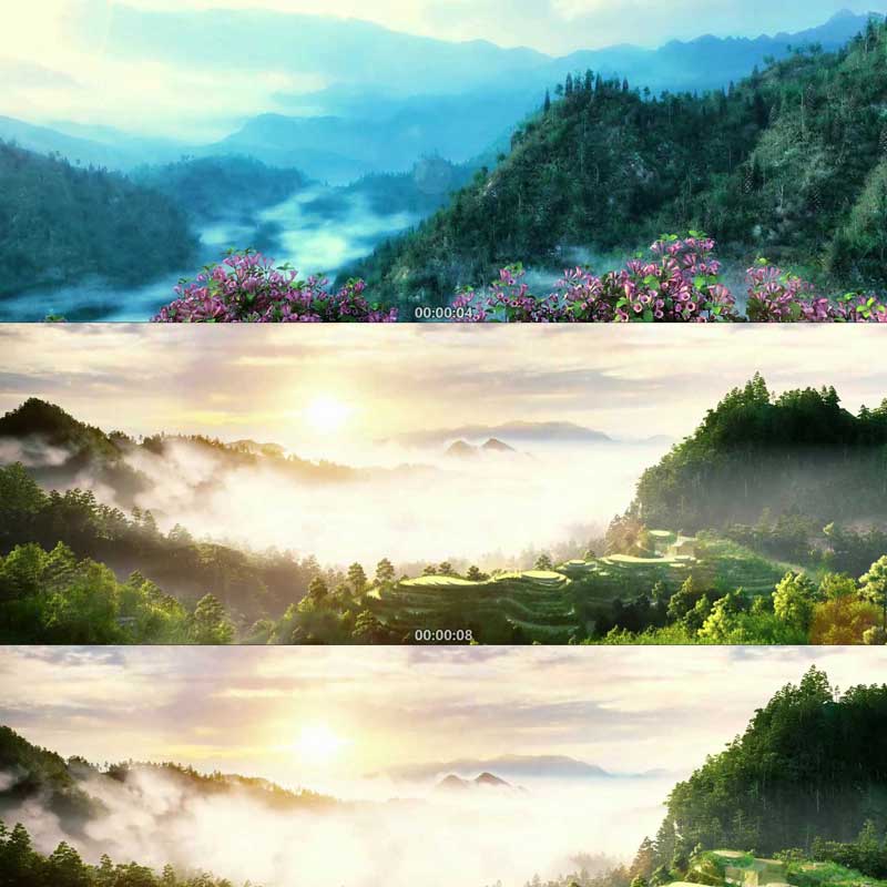 唯美自然风光云海日出梯田绿色生态3D三维动画漫游宣传片视频素材