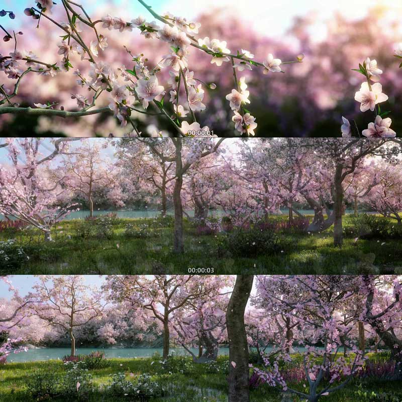 三维桃花樱花桃林花瓣动画 3D动画 三维自然风光漫游 城市宣传片