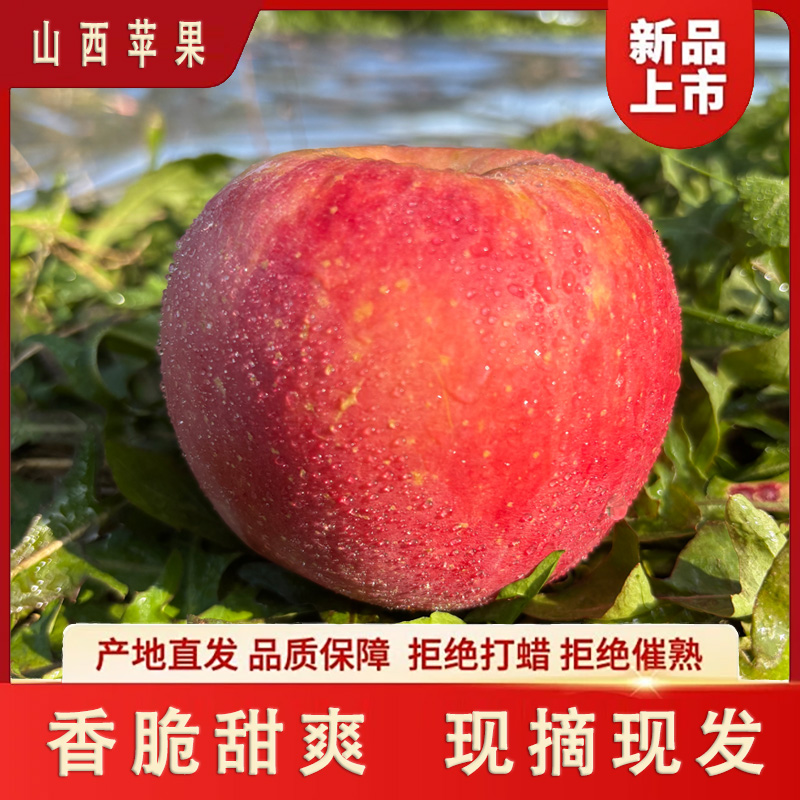 （3斤试吃装）正宗山西苹果新鲜水果当季现摘现发
