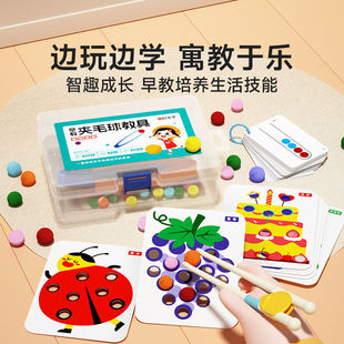 蒙氏早教夹毛球教具儿童精细动作专注力训练益智3-6岁幼儿园玩具