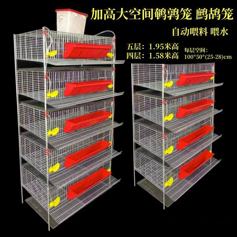 鹌鹑产蛋笼鹧鸪产蛋笼子