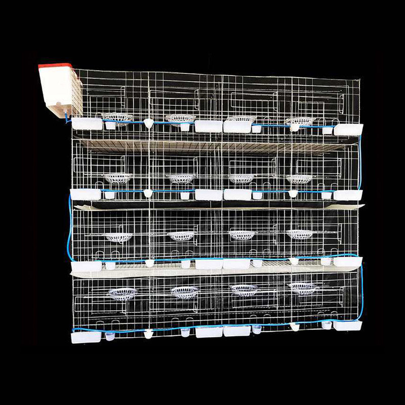 鸽子笼特大号养殖家用鸽棚12位信鸽繁殖笼16位鸽配对笼肉鸽养殖笼
