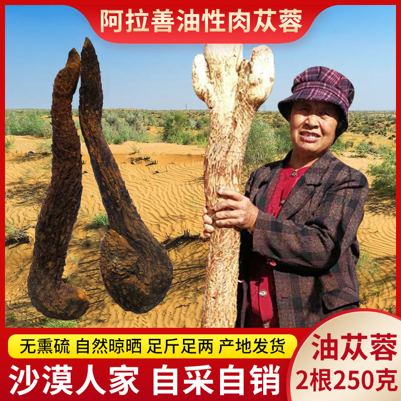 肉苁蓉阿拉善油性整根500g男性滋补泡酒汤料农家特产非特级正品