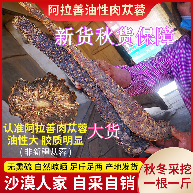 阿拉善特级肉苁蓉500g整根男性滋补中药材店铺泡茶酒切片锁阳正品