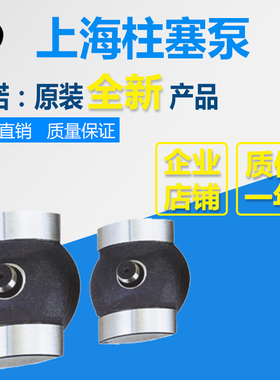 HY10/16/25/40/63/80/100/107/125/160/180/250M/S/Y-RP变量头