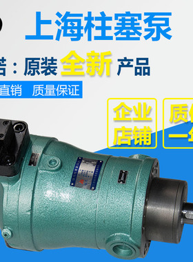 10/16/25/32/40/63/80/100/160/250/400PCY14-1B上海轴向柱塞油泵