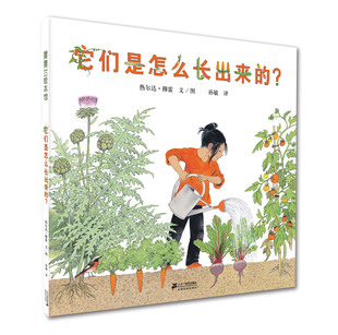 过程书籍蔬菜本图怎么过程来的生长它们种植幼儿园儿童，启蒙阅读3-6—绘本认识绘故事书亲子植物了解的是周岁长出科普