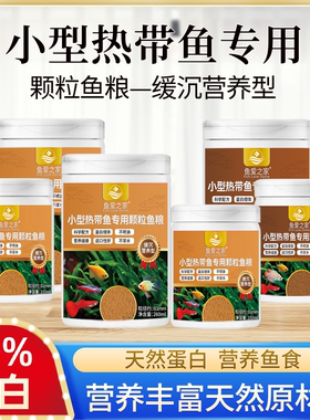 鱼爱之家小型鱼专用观赏鱼