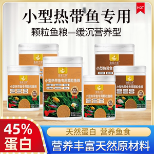 鱼爱之家小型鱼专用观赏鱼