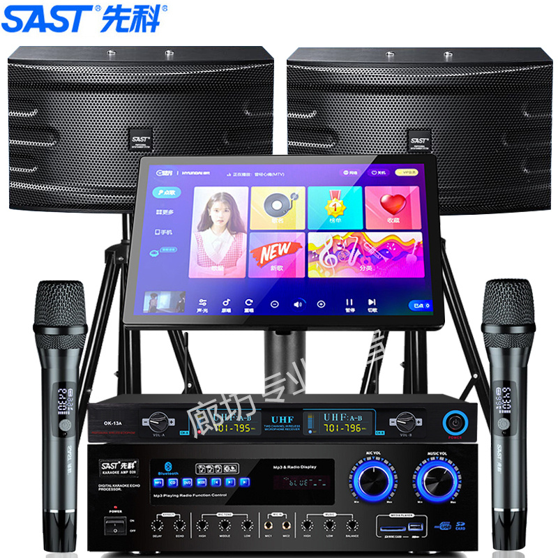 SAST/先科 A10V家庭KTV音响套装家用卡拉ok音响家庭影院唱歌音箱