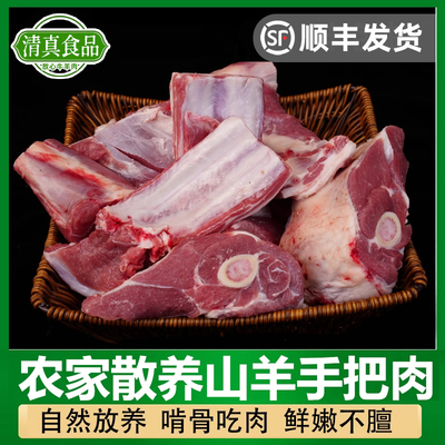 山东优惠羊腿羊肉羊排