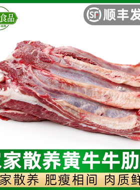 5斤清真牛肋条肥瘦相间鲁西黄牛生鲜冷冻牛肉牛腩条烤肉烧烤食材