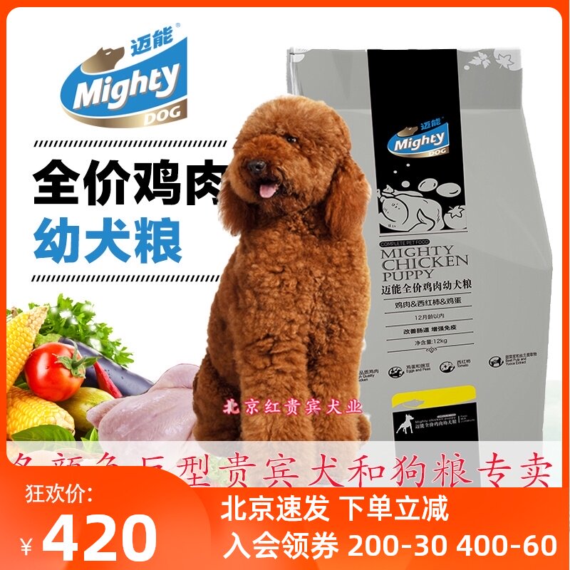 巨型贵宾犬巨贵素材模板 巨型贵宾犬巨贵图片下载 小麦优选