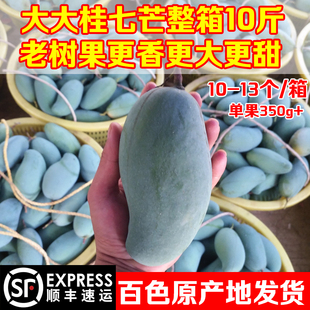 正宗田东桂七芒果净果9斤顺丰包邮新鲜水果广西百色老树大桂7香芒
