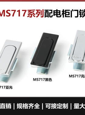 配电箱门锁平面锁工业五金柜门锁 MS717不锈钢柜锁配电箱电柜门锁