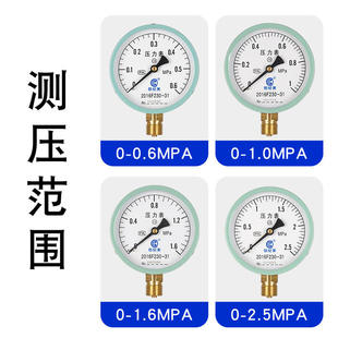 Y100径向压力表水压表缓冲管球阀套装自来水地暖消防管道气压油压