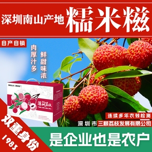 深圳南山山荔枝糯米糍新鲜小核农家特产礼盒顺丰包邮广东水果大王