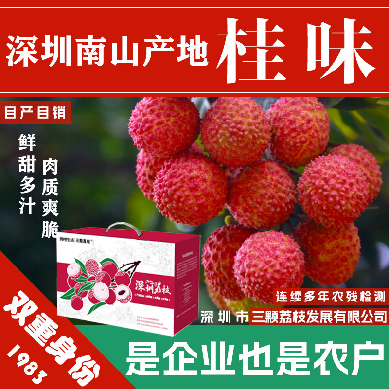 南山山荔枝桂味老树果新鲜岭南农家当季水果礼盒顺丰包邮深圳特产