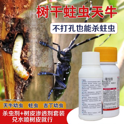 树干害虫蛀虫杀虫剂喷杀套装