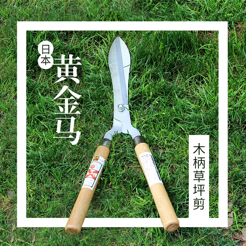 草坪剪绿篱剪家用园林绿化