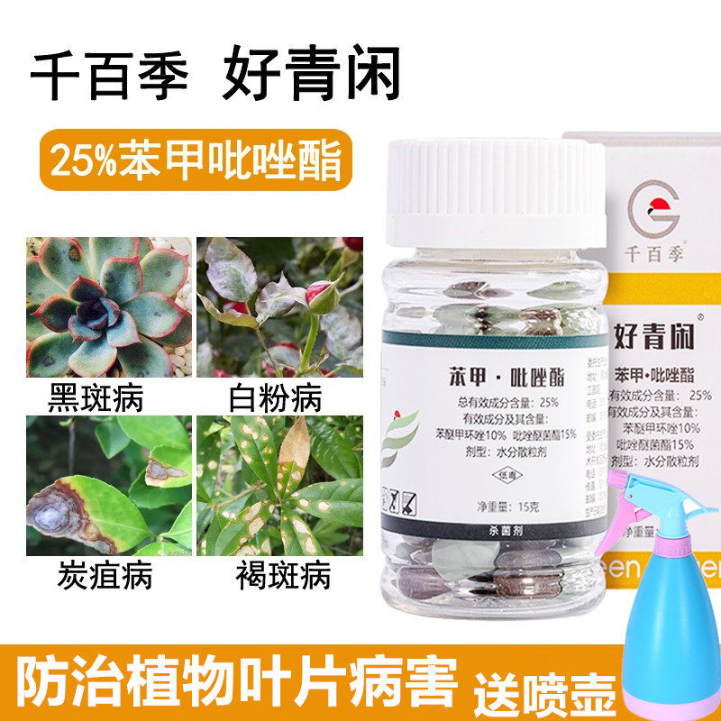 千百季好青闲杀菌剂苯甲吡唑脂酯胶囊家用兰花多肉月季白粉黑斑病怎么看?