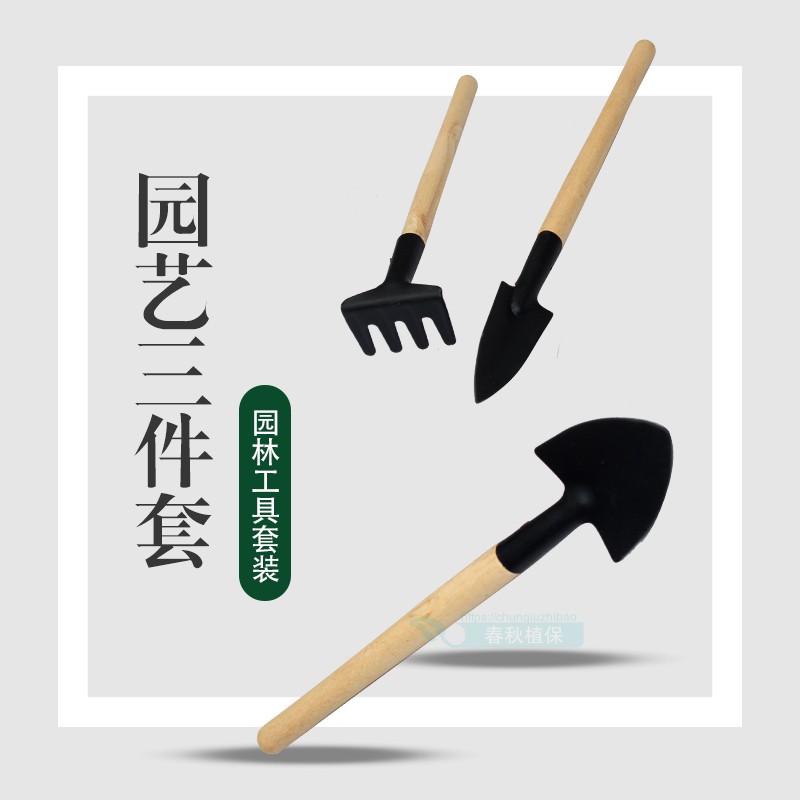 家庭园艺三件套装种菜种花工具多肉小铲子养花工具小耙子铁锹包邮