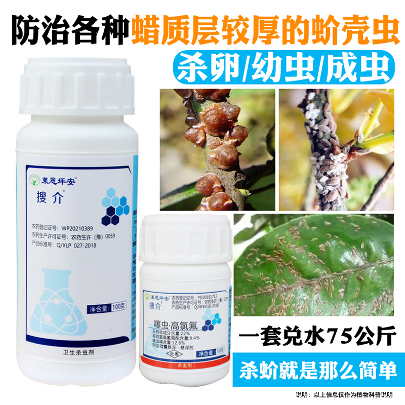 红蜡蚧龟蜡蚧各种蚧壳虫