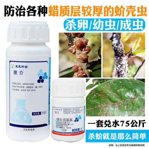红蜡蚧龟蜡蚧各种蚧壳虫