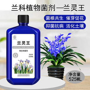君德正品 兰灵王有机营养液兰花蝴蝶兰君子兰肥料活菌促根催芽促花