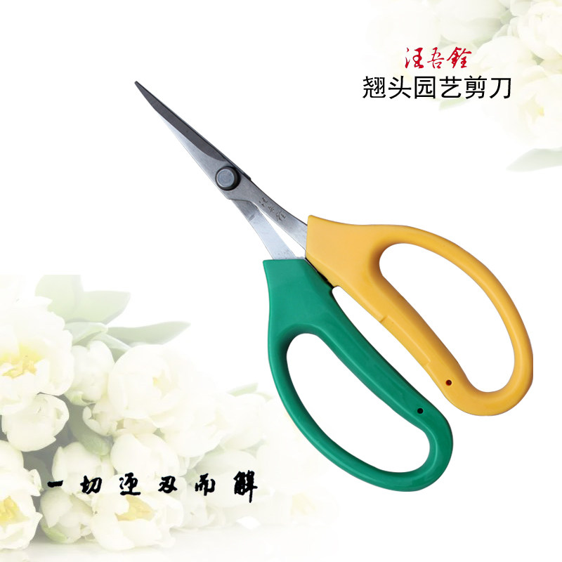 剪葡萄枝专用剪刀翘头花剪园艺剪鲜花盆景剪刀修枝家用不锈钢芽剪,鲜花速递/花卉仿真/绿植园艺,剪刀,淘宝优惠券,粉丝福利购,淘宝优惠卷