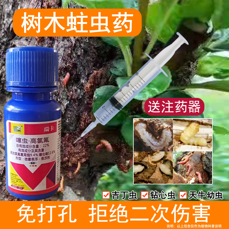 蛀虫枇杷无花果树干树心虫钻心虫