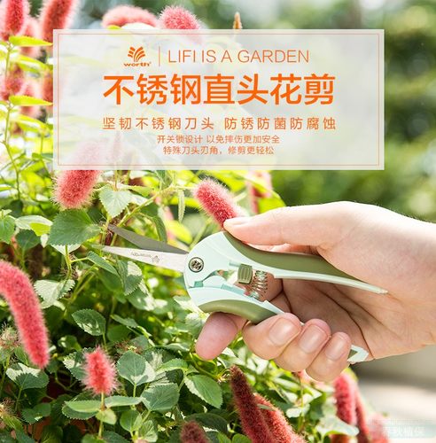 沃施worth 1037修枝剪刀花枝剪嫩芽草花树枝盆栽修枝园艺尖头剪子