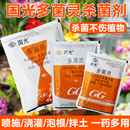 国光多菌灵植物蔬菜花卉月季 黑斑病黑腐病土壤种球杀菌剂家用花药