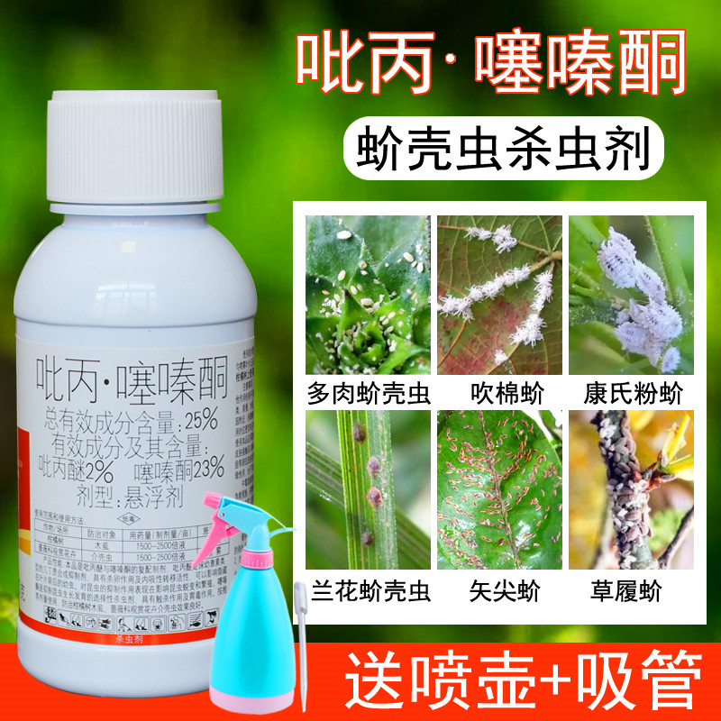 国光卓圃蚧壳虫专用药蚧必治介壳虫蚜虫木虱花卉植物多肉杀虫药剂