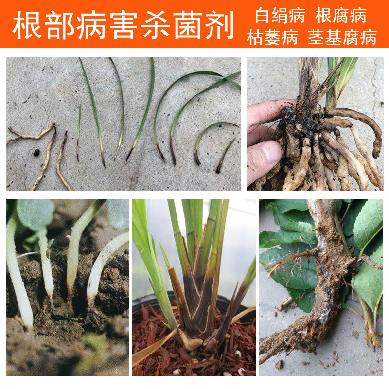 甲霜恶霉灵农药杀菌剂土壤消毒兰花草根腐病专用药猝倒立枯病通用