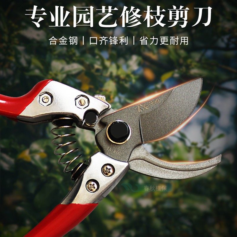 台湾九阡司修枝剪花剪粗枝剪园林果树剪枝剪合金钢刀锋利省力耐磨,鲜花速递/花卉仿真/绿植园艺,剪刀,淘宝优惠券,粉丝福利购,淘宝优惠卷
