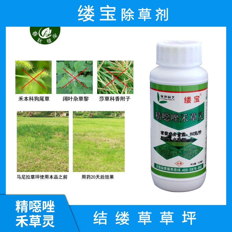 绿坪缕宝马尼拉台湾草草坪专用除草剂禾本科阔叶草莎草杂草封闭性