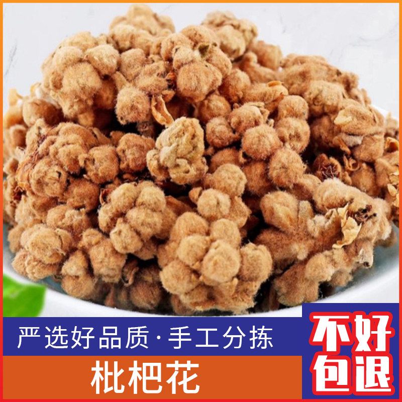 广西枇杷花新鲜白枇杷花 琵琶花