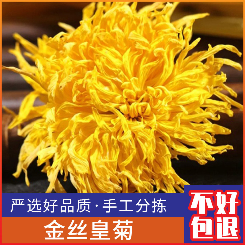 金丝皇菊花 新鲜大朵金丝皇菊花茶贡菊 菊花茶清心火养生茶