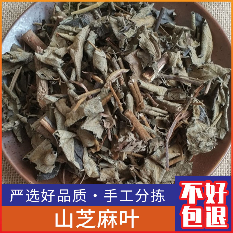 新货广西野生山芝麻叶小山芝麻叶色青500克包邮售山芝麻根